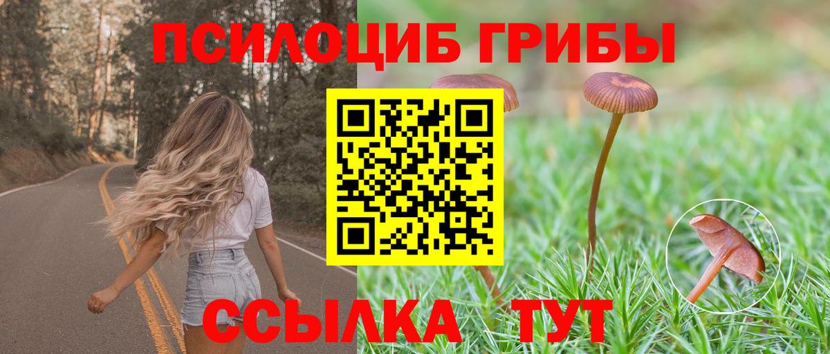 Псилоцибиновые грибы GOLDEN TEACHER  Вход с VPN  Чернушка  Галлюциногенные грибы Magic Shrooms 
